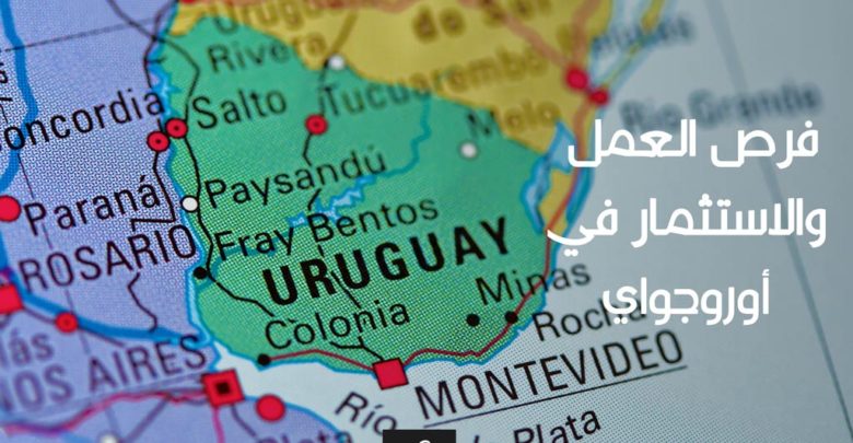 فرص العمل والاستثمار في أوروجواي